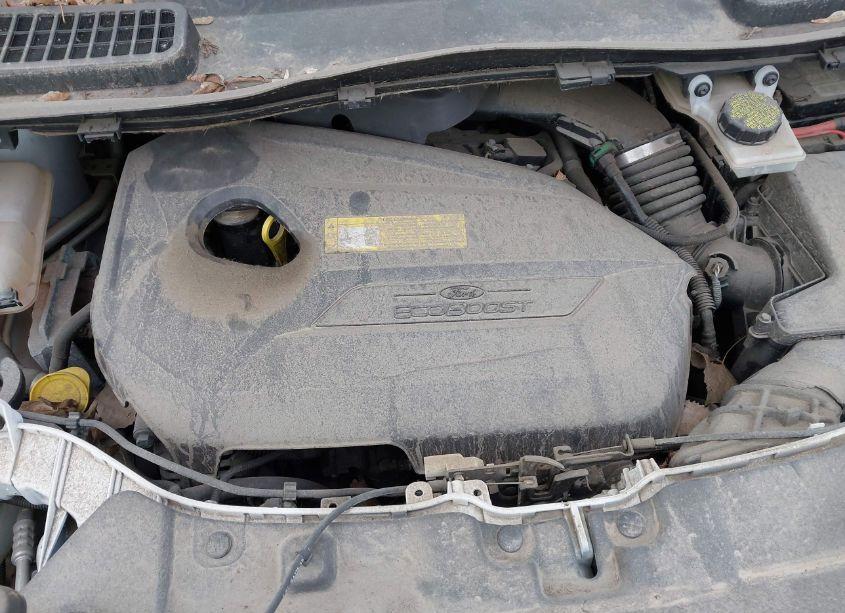 Photo 10 of 2015 Ford Escape SE (VIN 1FMCU9GX7FUB42321)