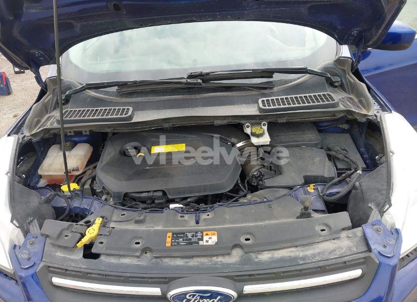 Photo 10 of 2015 Ford Escape SE (VIN 1FMCU9GX7FUB46580)