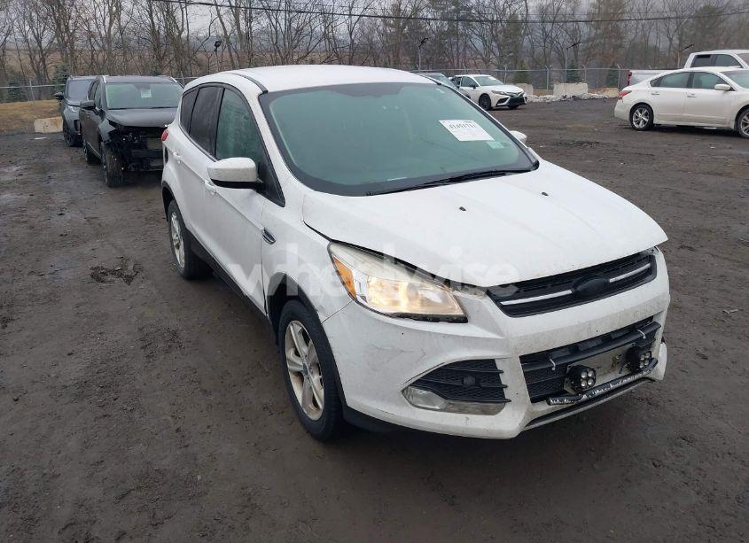 2015 Ford Escape SE (VIN 1FMCU9GX7FUB50189) main photo