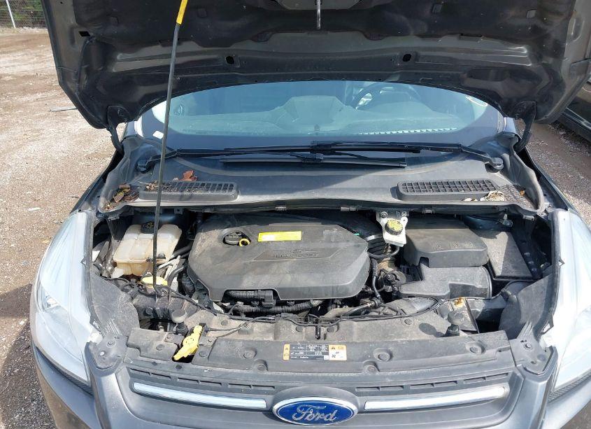 Photo 10 of 2016 Ford Escape SE (VIN 1FMCU9GX7GUA05719)