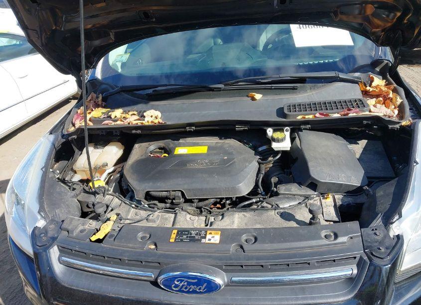 Photo 10 of 2016 Ford Escape SE (VIN 1FMCU9GX7GUA57187)