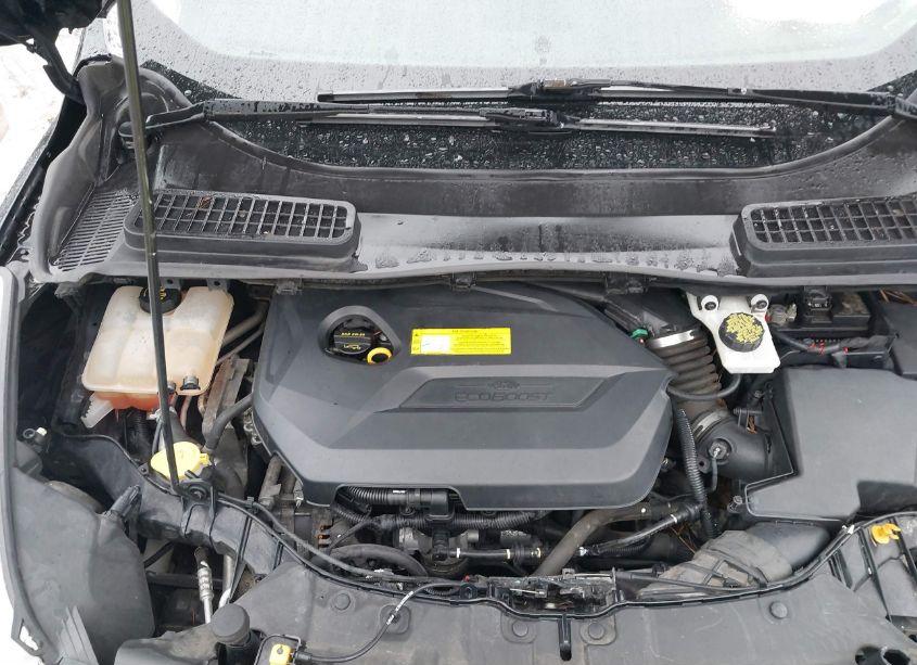 Photo 10 of 2016 Ford Escape SE (VIN 1FMCU9GX7GUA58985)