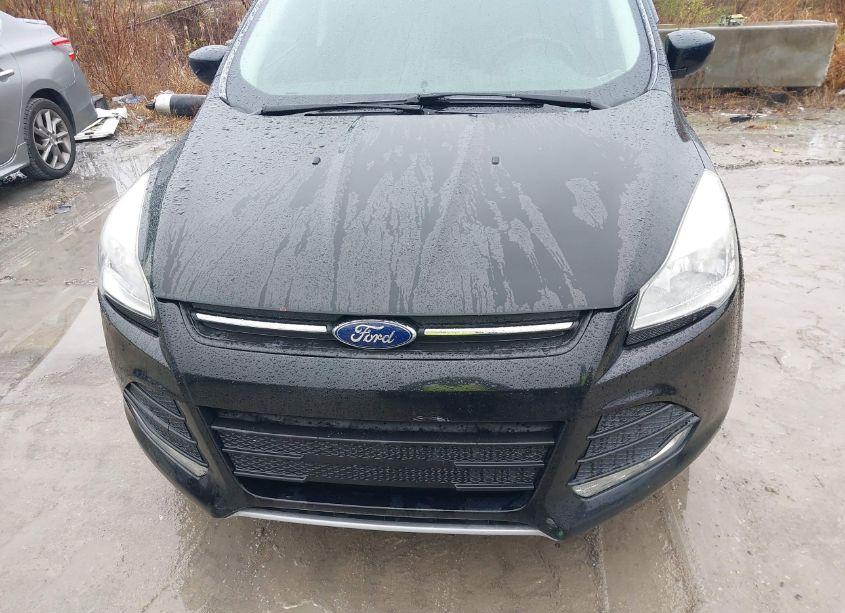 Photo 12 of 2016 Ford Escape SE (VIN 1FMCU9GX7GUA58985)