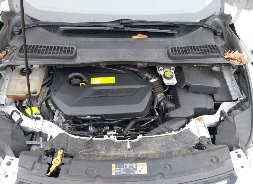 Photo 10 of 2016 Ford Escape SE (VIN 1FMCU9GX7GUA94059)