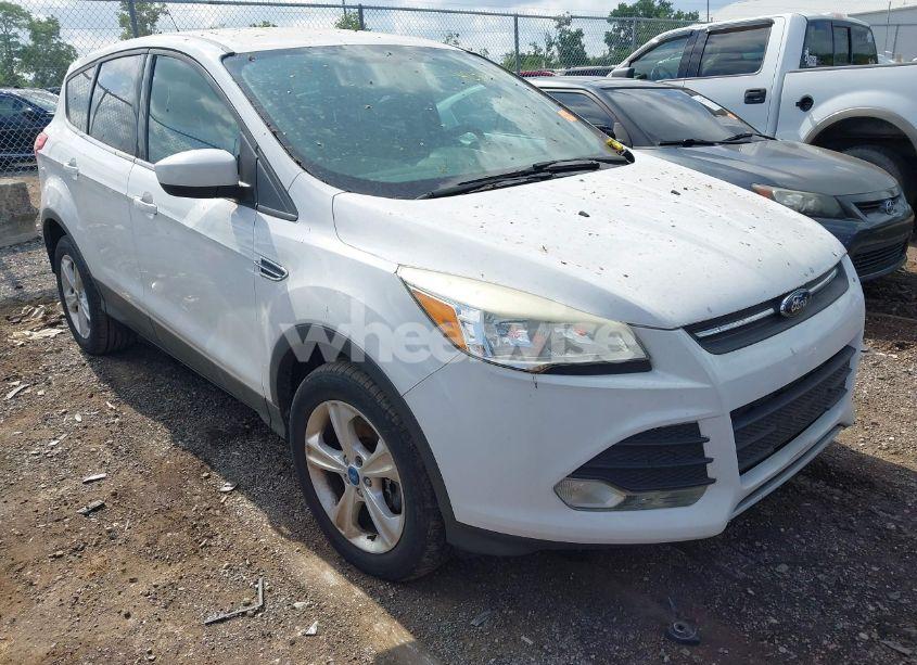 2013 Ford Escape SE (VIN 1FMCU9GX8DUA11623) main photo