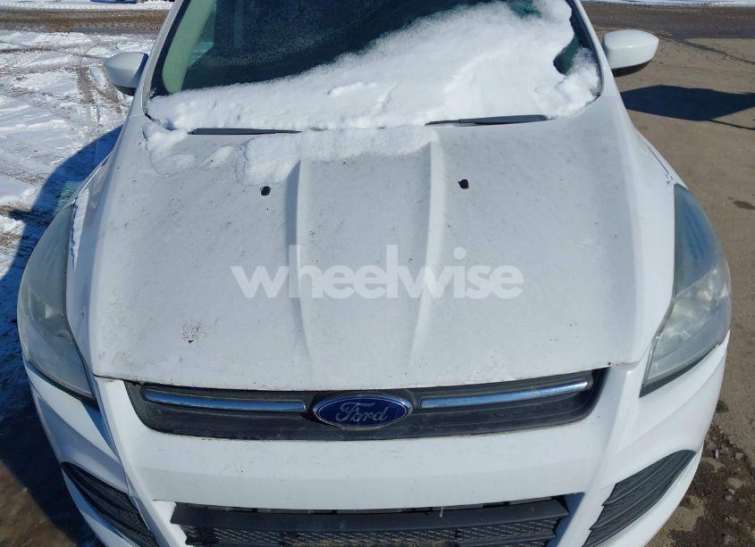 Photo 6 of 2013 Ford Escape SE (VIN 1FMCU9GX8DUD69692)