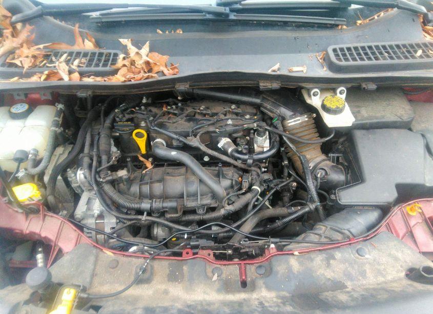 Photo 10 of 2014 Ford Escape SE (VIN 1FMCU9GX8EUA63710)