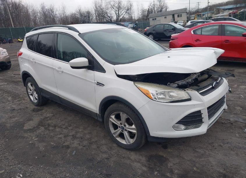 2014 Ford Escape SE (VIN 1FMCU9GX8EUA88963) main photo