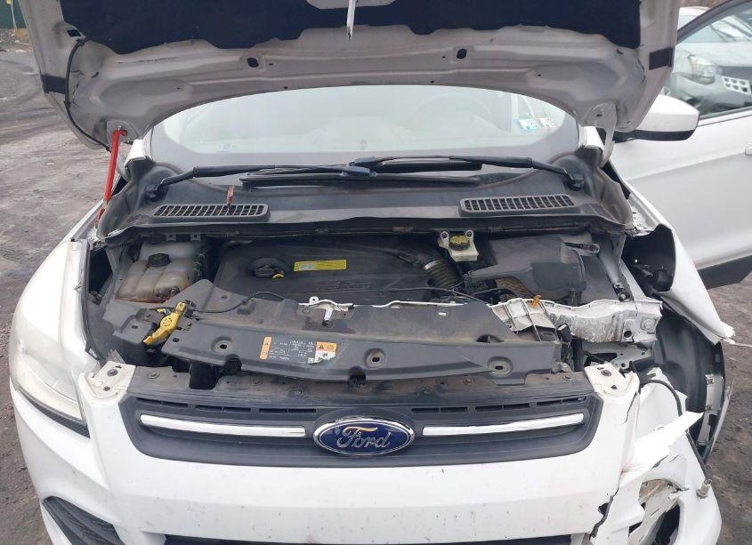 Photo 10 of 2014 Ford Escape SE (VIN 1FMCU9GX8EUA88963)