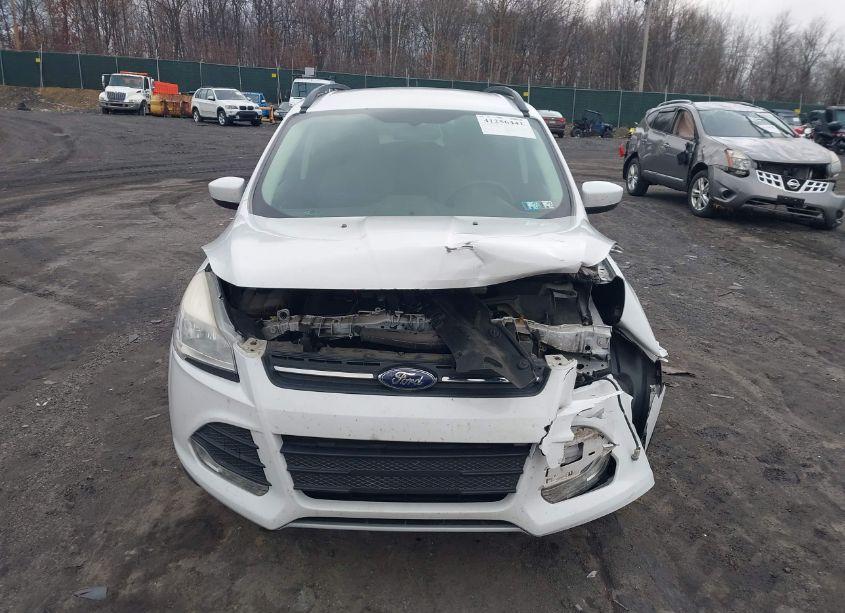 Photo 12 of 2014 Ford Escape SE (VIN 1FMCU9GX8EUA88963)