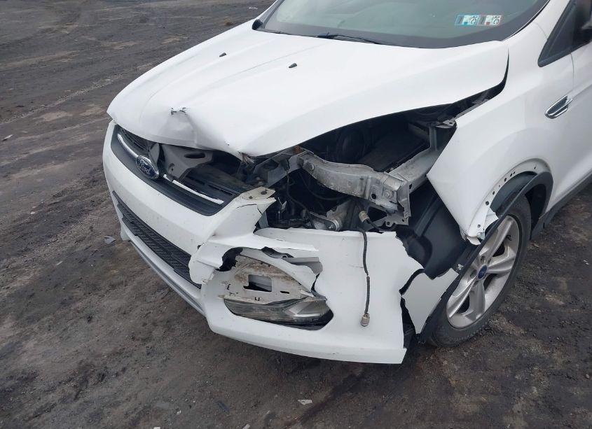 Photo 6 of 2014 Ford Escape SE (VIN 1FMCU9GX8EUA88963)