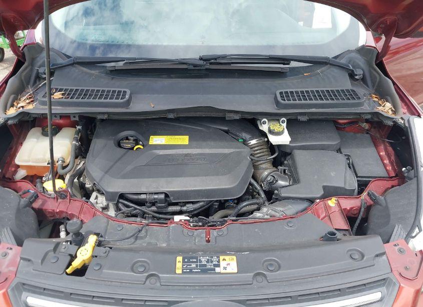 Photo 10 of 2014 Ford Escape SE (VIN 1FMCU9GX8EUB41306)