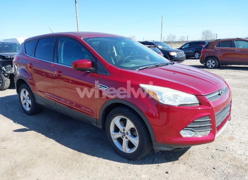 2014 Ford Escape SE (VIN 1FMCU9GX8EUB68621) main photo