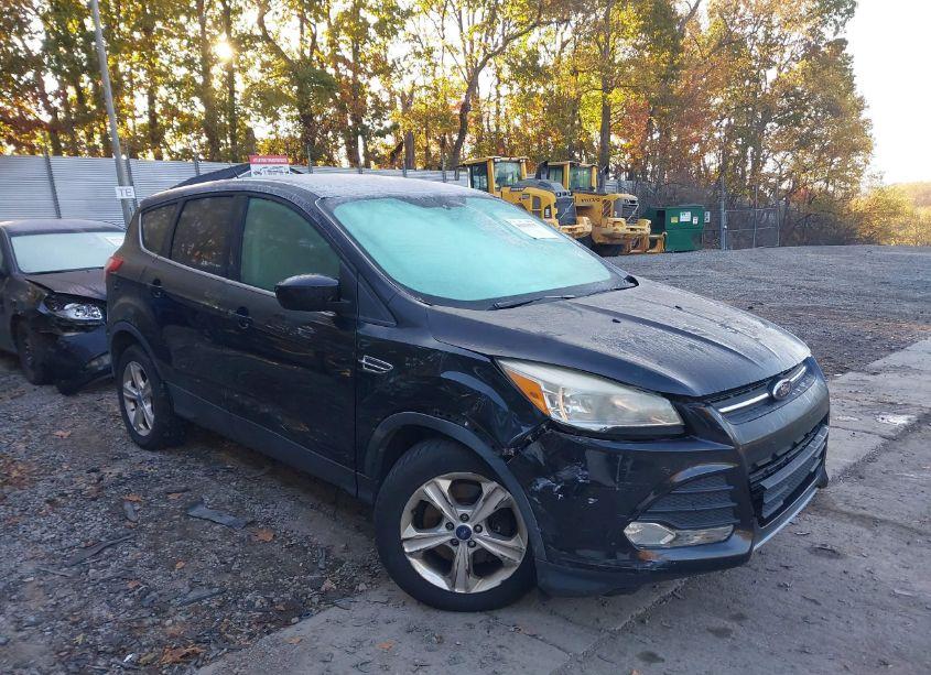 2014 Ford Escape SE (VIN 1FMCU9GX8EUB70384) main photo