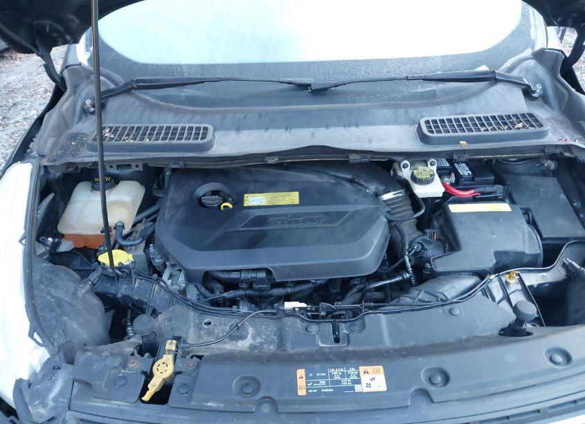 Photo 10 of 2014 Ford Escape SE (VIN 1FMCU9GX8EUB70384)