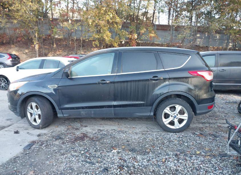 Photo 14 of 2014 Ford Escape SE (VIN 1FMCU9GX8EUB70384)