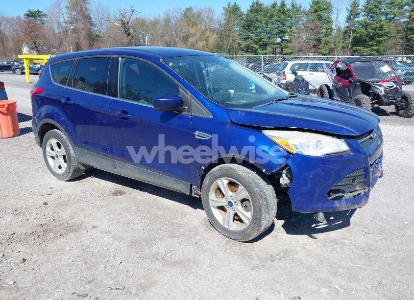 2014 Ford Escape SE (VIN 1FMCU9GX8EUC33693) main photo