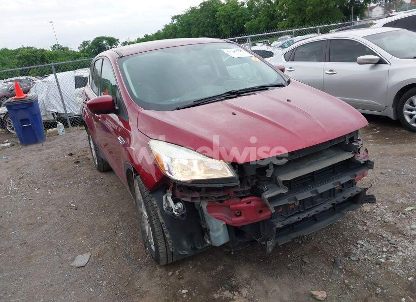 2014 Ford Escape SE (VIN 1FMCU9GX8EUC56052) main photo