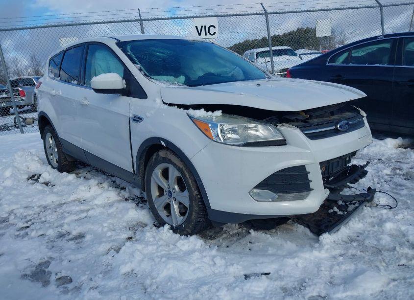 2014 Ford Escape SE (VIN 1FMCU9GX8EUC69268) main photo