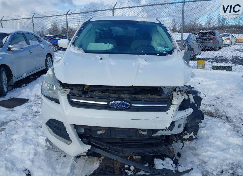 Photo 13 of 2014 Ford Escape SE (VIN 1FMCU9GX8EUC69268)