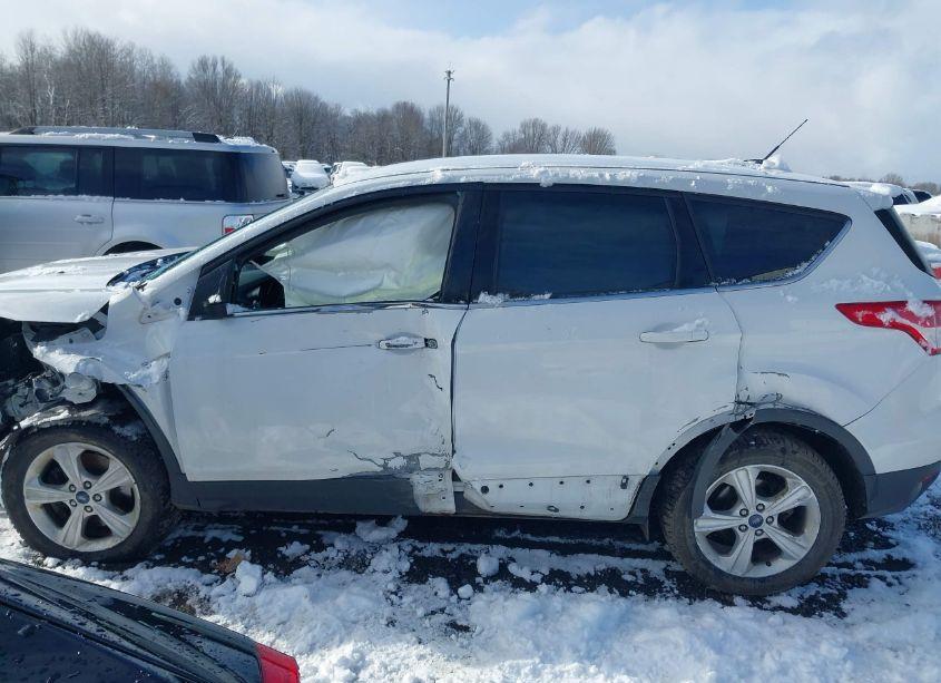 Photo 15 of 2014 Ford Escape SE (VIN 1FMCU9GX8EUC69268)