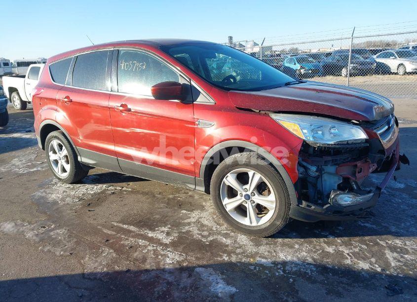2014 Ford Escape SE (VIN 1FMCU9GX8EUC75877) main photo