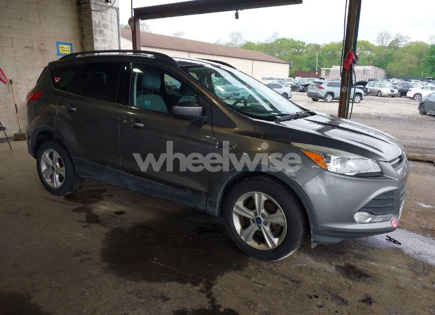 2014 Ford Escape SE (VIN 1FMCU9GX8EUD21613) main photo