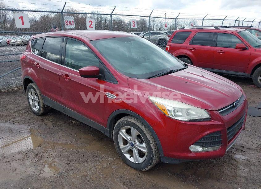 2014 Ford Escape SE (VIN 1FMCU9GX8EUE19282) main photo