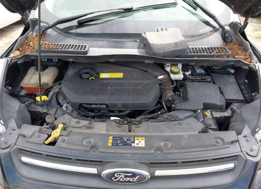 Photo 10 of 2015 Ford Escape SE (VIN 1FMCU9GX8FUA98460)