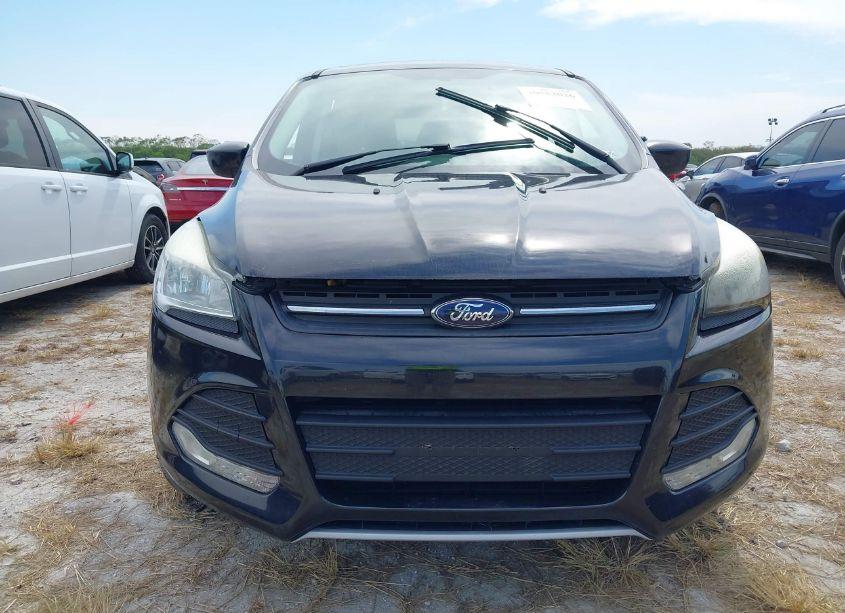 Photo 13 of 2015 Ford Escape SE (VIN 1FMCU9GX8FUA98460)