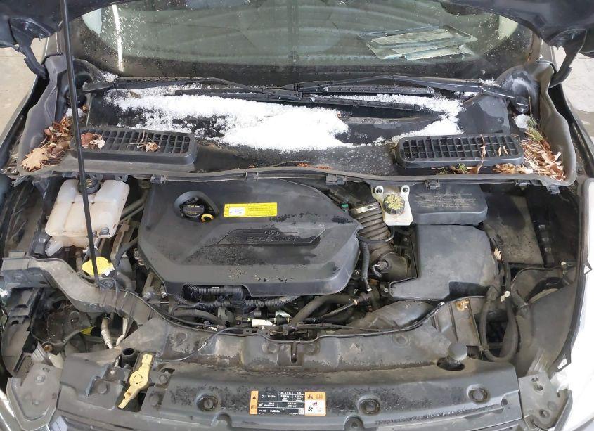 Photo 10 of 2015 Ford Escape SE (VIN 1FMCU9GX8FUB06850)