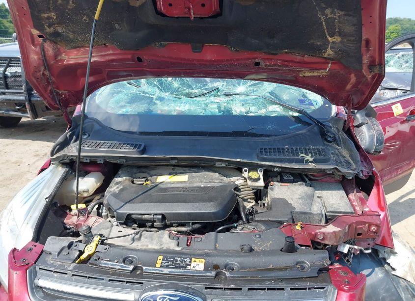 Photo 10 of 2016 Ford Escape SE (VIN 1FMCU9GX8GUA01274)