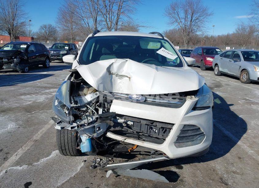 Photo 12 of 2016 Ford Escape SE (VIN 1FMCU9GX8GUA88657)