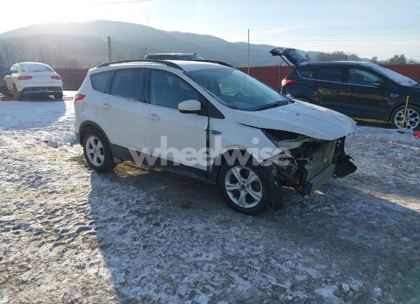 2016 Ford Escape SE (VIN 1FMCU9GX8GUB90704) main photo