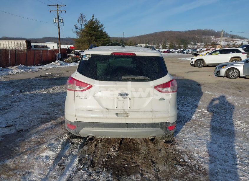 Photo 17 of 2016 Ford Escape SE (VIN 1FMCU9GX8GUB90704)