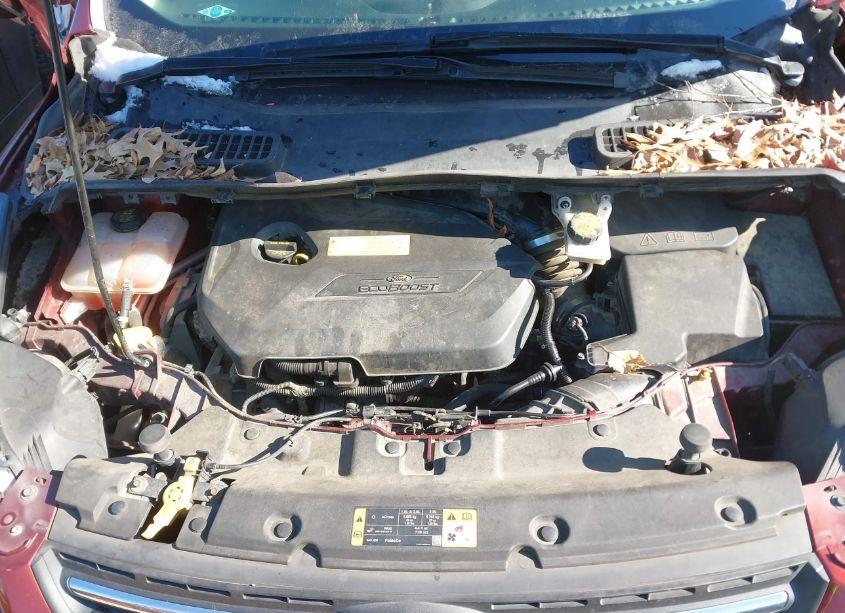 Photo 10 of 2016 Ford Escape SE (VIN 1FMCU9GX8GUC32160)