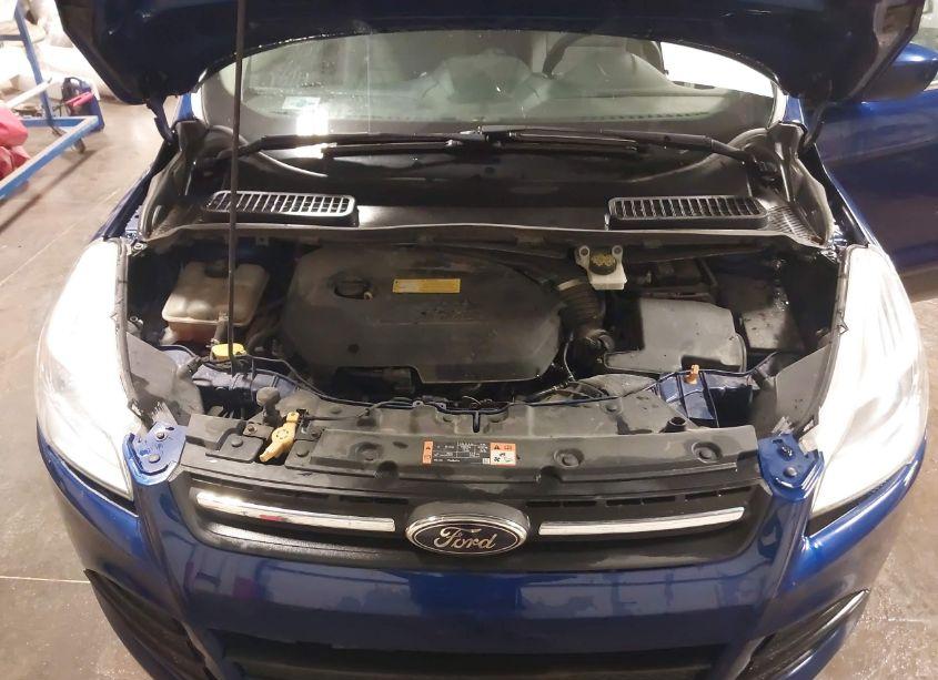 Photo 10 of 2016 Ford Escape SE (VIN 1FMCU9GX8GUC78927)