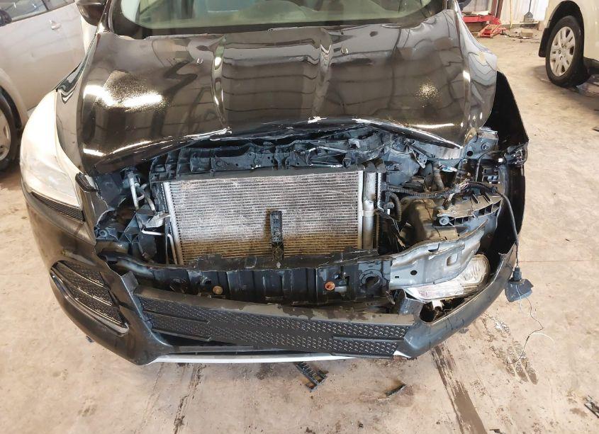 Photo 6 of 2013 Ford Escape SE (VIN 1FMCU9GX9DUA03790)