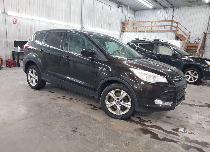 2013 Ford Escape SE (VIN 1FMCU9GX9DUB64169) main photo