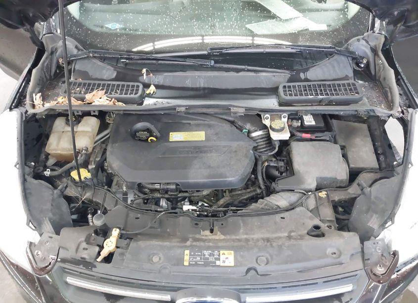 Photo 10 of 2013 Ford Escape SE (VIN 1FMCU9GX9DUB64169)