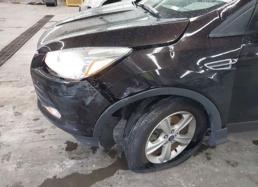 Photo 6 of 2013 Ford Escape SE (VIN 1FMCU9GX9DUB64169)