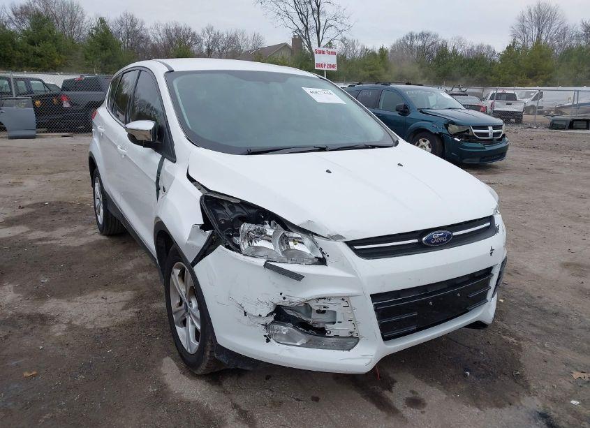 2013 Ford Escape SE (VIN 1FMCU9GX9DUD71595) main photo