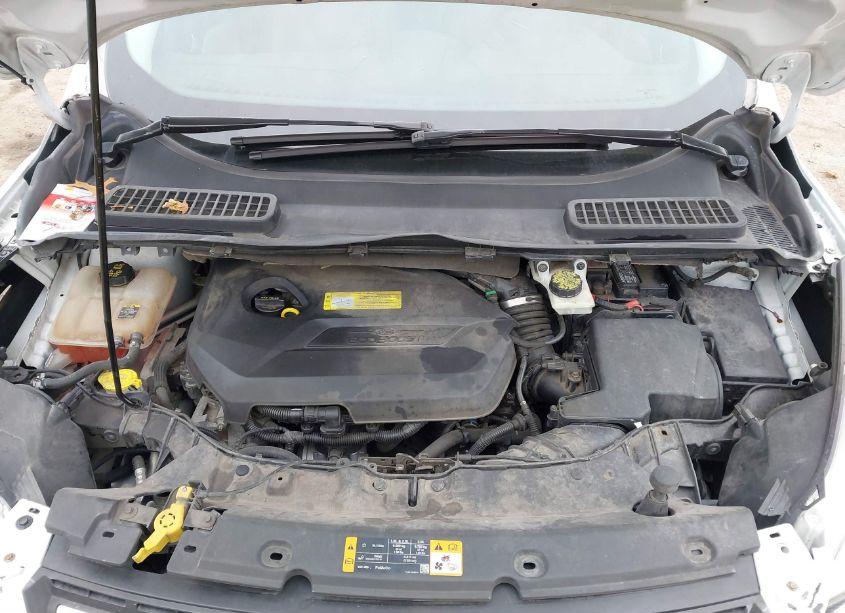 Photo 10 of 2013 Ford Escape SE (VIN 1FMCU9GX9DUD71595)