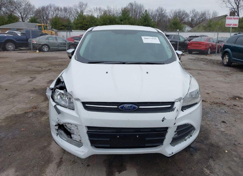 Photo 12 of 2013 Ford Escape SE (VIN 1FMCU9GX9DUD71595)