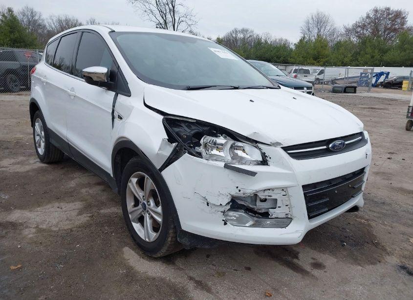 Photo 6 of 2013 Ford Escape SE (VIN 1FMCU9GX9DUD71595)