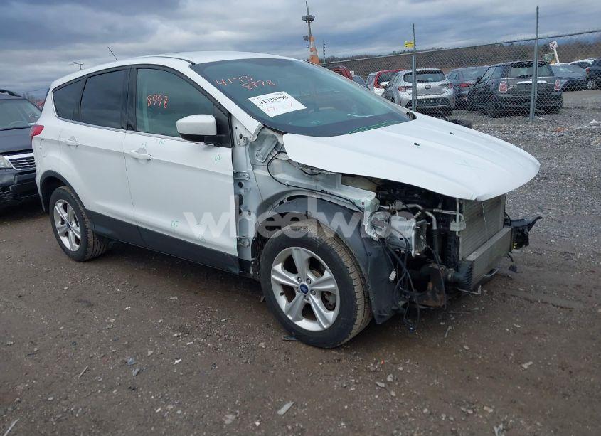 2014 Ford Escape SE (VIN 1FMCU9GX9EUA18954) main photo