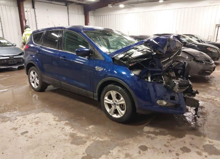 2014 Ford Escape SE (VIN 1FMCU9GX9EUA51307) main photo