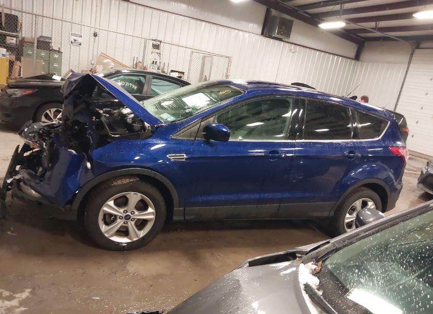 Photo 14 of 2014 Ford Escape SE (VIN 1FMCU9GX9EUA51307)