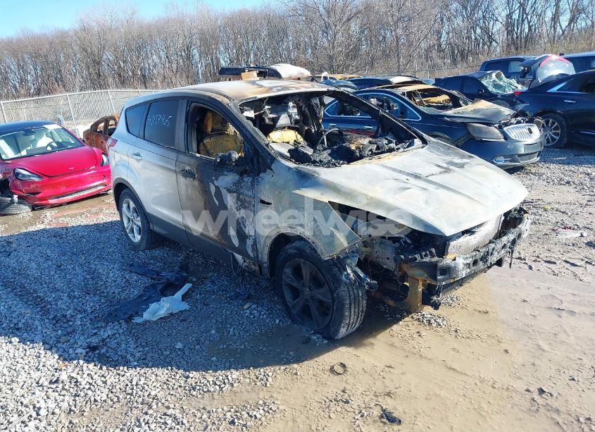 2014 Ford Escape SE (VIN 1FMCU9GX9EUB20853) main photo