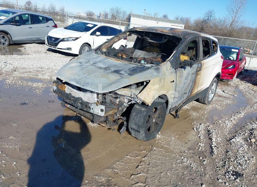 Photo 2 of 2014 Ford Escape SE (VIN 1FMCU9GX9EUB20853)